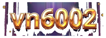 vn6002 logo